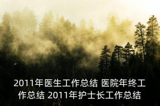 2011年醫生工作總結 醫院年終工作總結 2011年護士長工作總結