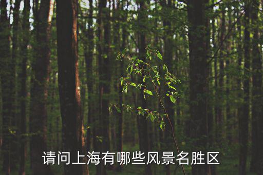 請問上海有哪些風景名勝區