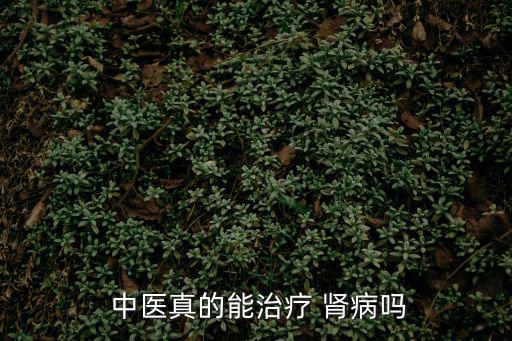  中醫真的能治療 腎病嗎