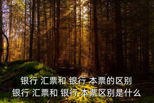 銀行匯票和銀行本票的區別,銀行匯票和銀行本票的區別