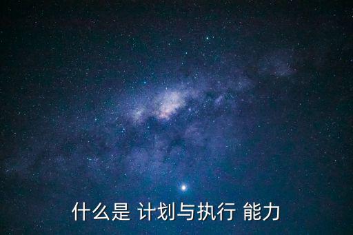 什么是 計劃與執行 能力
