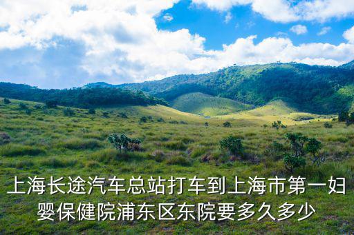 上海市第一婦幼嬰醫院東院，關于上海市第一婦嬰保健院浦東分院