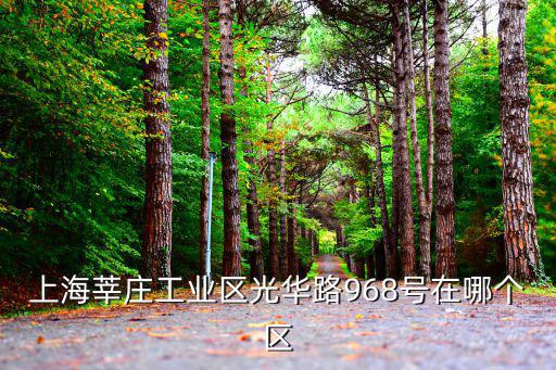 上海莘莊工業區光華路968號在哪個區