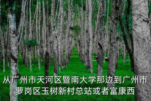 從廣州市天河區暨南大學那邊到廣州市蘿崗區玉樹新村總站或者富康西