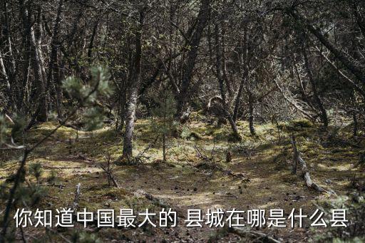 你知道中國最大的 縣城在哪是什么縣