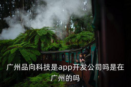 廣州品向科技是app開發公司嗎是在廣州的嗎