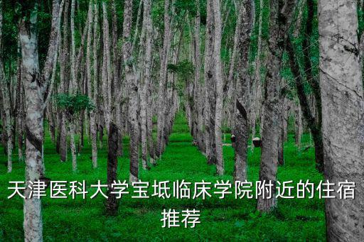 天津醫科大學寶坻臨床學院附近的住宿推薦
