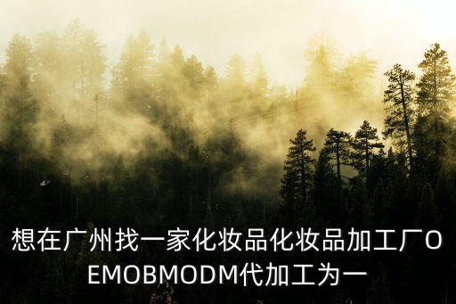 廣州化妝品泥灸代加工廠，想在廣州找一家化妝品化妝品加工廠OEMOBMODM代加工為一