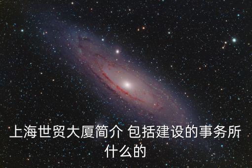 上海世貿大廈簡介 包括建設的事務所什么的