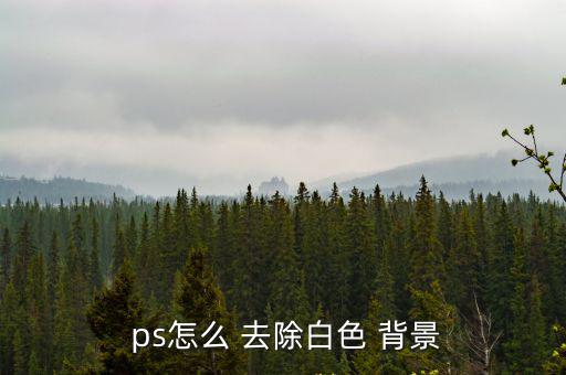  ps怎么 去除白色 背景