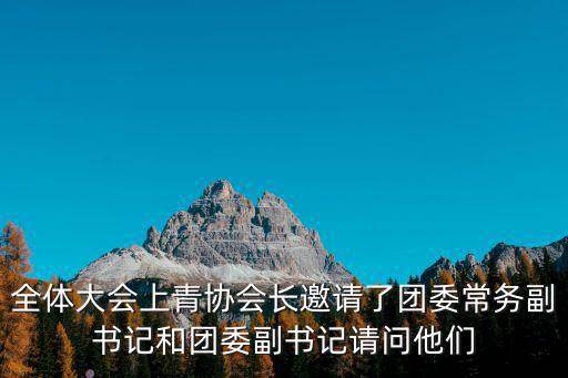 全體大會上青協會長邀請了團委常務副書記和團委副書記請問他們