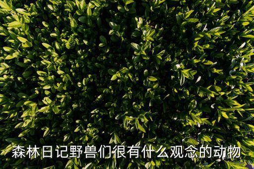 森林日記野獸們很有什么觀念的動物