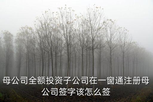 母公司全額投資子公司在一窗通注冊(cè)母公司簽字該怎么簽