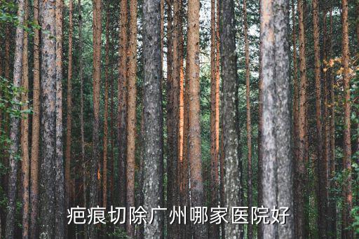疤痕切除廣州哪家醫(yī)院好