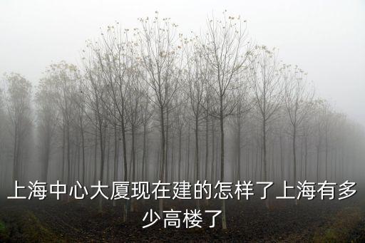 上海中心大廈入住率低，上海中心大廈現在建的怎樣了上海有多少高樓了