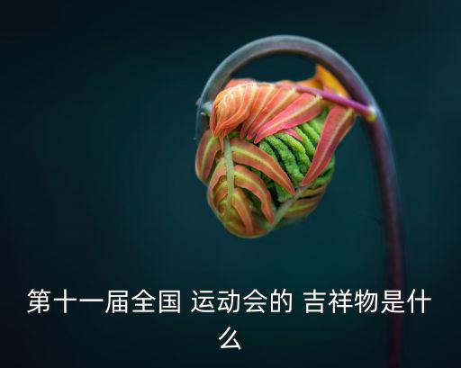 第十一屆全國(guó) 運(yùn)動(dòng)會(huì)的 吉祥物是什么