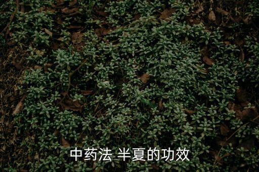 中藥法 半夏的功效