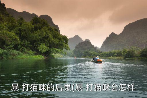 暴 打貓咪的后果(暴 打貓咪會怎樣