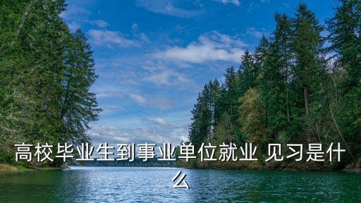 高校畢業生到事業單位就業 見習是什么