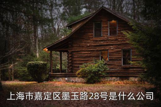 上海市嘉定區(qū)墨玉路28號(hào)是什么公司