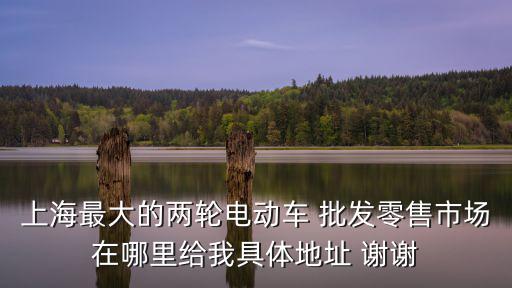 上海最大的兩輪電動車 批發零售市場在哪里給我具體地址 謝謝