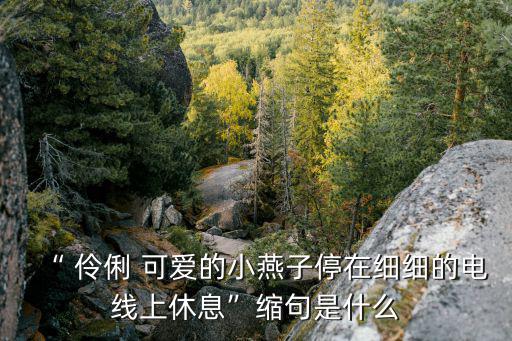 “ 伶俐 可愛的小燕子停在細細的電線上休息”縮句是什么