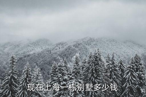 現在上海一棟別墅多少錢