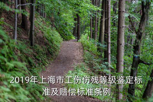 2019年上海市工傷傷殘等級鑒定標(biāo)準(zhǔn)及賠償標(biāo)準(zhǔn)條例