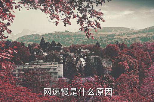  網速慢是什么原因