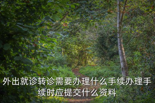 外出就診轉診需要辦理什么手續辦理手續時應提交什么資料