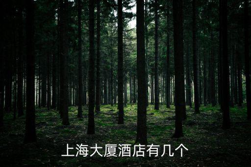 上海大廈酒店有幾個(gè)