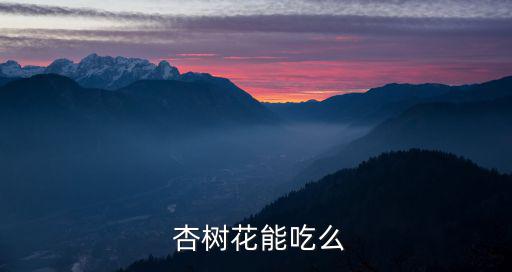  杏樹花能吃么