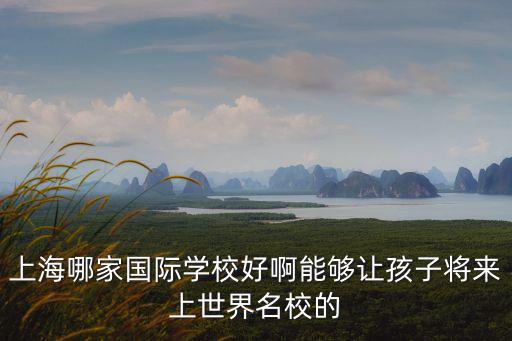 上海新虹橋國際學(xué)校，上海哪家國際學(xué)校好啊能夠讓孩子將來上世界名校的