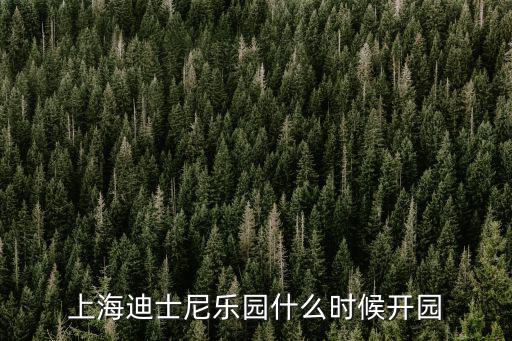 上海迪士尼樂園什么時候開園