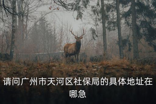 請(qǐng)問(wèn)廣州市天河區(qū)社保局的具體地址在哪急