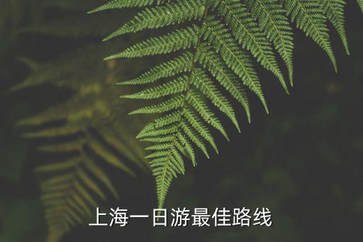 上海一日游攻略最佳路線圖，上海一日游最佳路線
