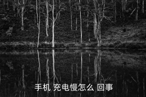 手機充電慢是怎么回事,手機充電慢?四大問題請解決
