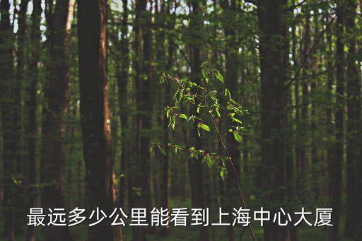 最遠多少公里能看到上海中心大廈