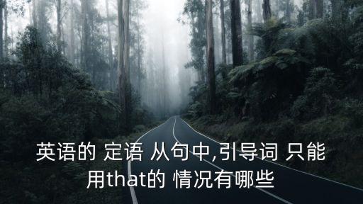 英語(yǔ)的 定語(yǔ) 從句中,引導(dǎo)詞 只能用that的 情況有哪些