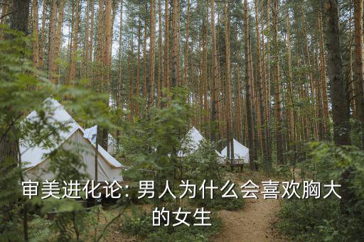 審美進(jìn)化論: 男人為什么會(huì)喜歡胸大的女生