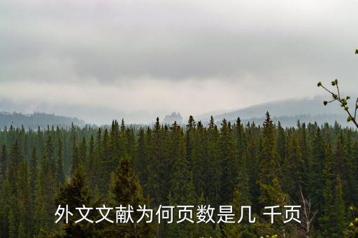 千頁,千頁豆腐沒熟不能生吃