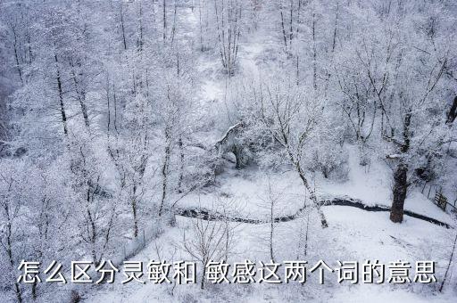 怎么區(qū)分靈敏和 敏感這兩個(gè)詞的意思
