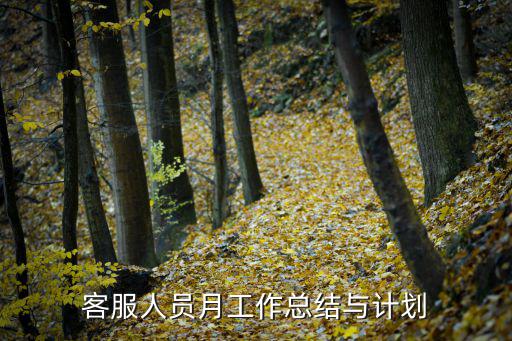 客服人員月工作總結(jié)與計(jì)劃