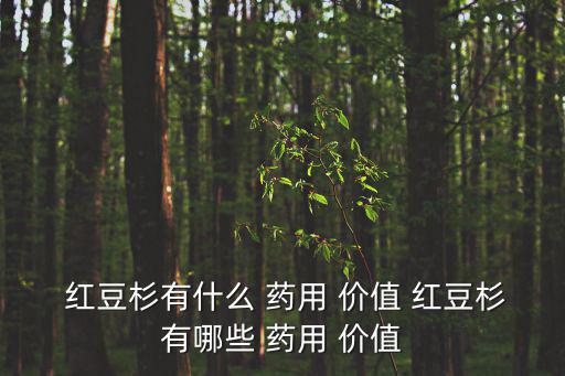  紅豆杉有什么 藥用 價值 紅豆杉有哪些 藥用 價值