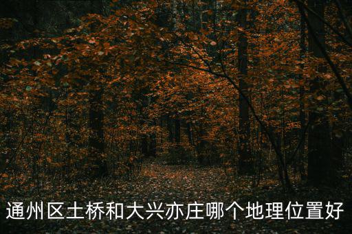 通州區土橋和大興亦莊哪個地理位置好