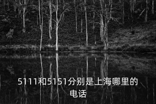 上海市住宅六公司電話，5111和5151分別是上海哪里的電話
