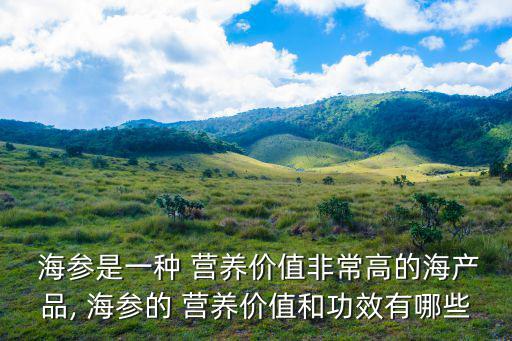  海參是一種 營養價值非常高的海產品, 海參的 營養價值和功效有哪些
