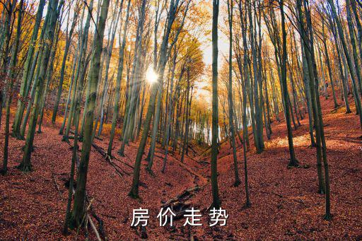 房 價(jià) 走 勢