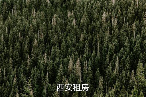 租房西安 58同城，西安高新區58同城網商鋪租賃或適合做洗車門面房