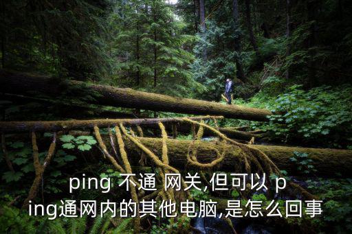  ping 不通 網(wǎng)關(guān),但可以 ping通網(wǎng)內(nèi)的其他電腦,是怎么回事